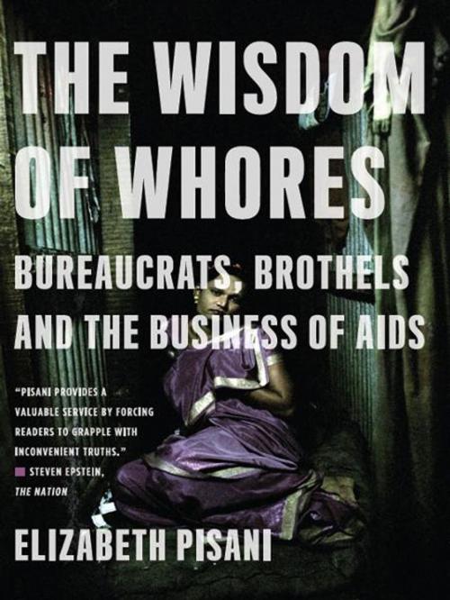 Cover of the book The Wisdom of Whores: Bureaucrats, Brothels, and the Business of AIDS by Elizabeth Pisani, W. W. Norton & Company
