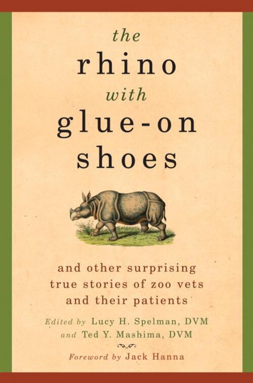 Cover of the book The Rhino with Glue-On Shoes by , Random House Publishing Group