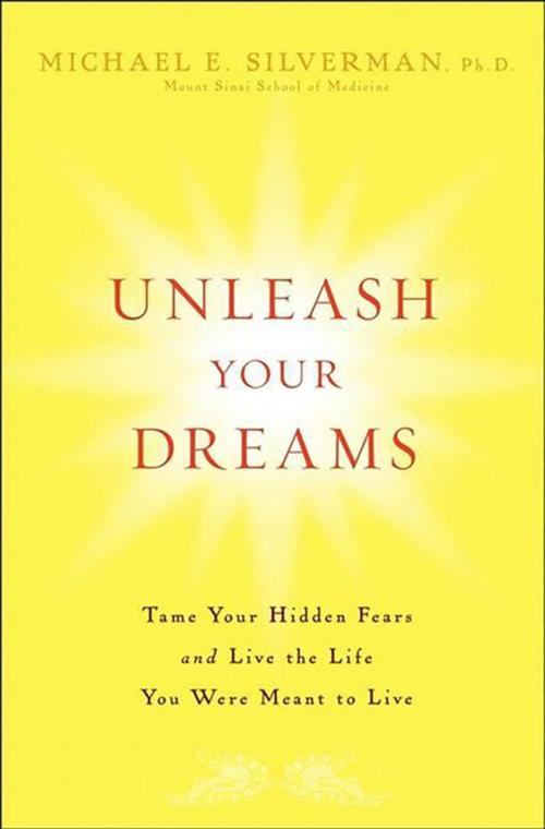 Cover of the book Unleash Your Dreams by Michael E. Silverman, Turner Publishing Company