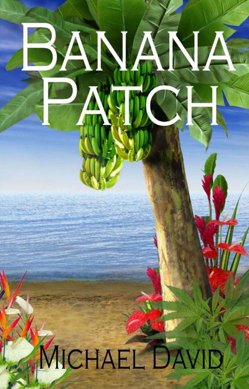 Cover of the book Banana Patch by Michael David, SynergEbooks