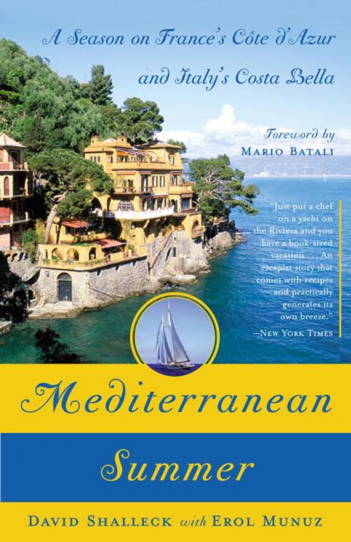 Cover of the book Mediterranean Summer by David Shalleck, Erol Munuz, Crown/Archetype