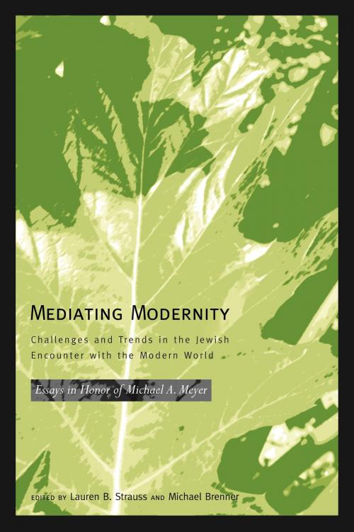Cover of the book Mediating Modernity by Lauren B. Strauss, Wayne State University Press