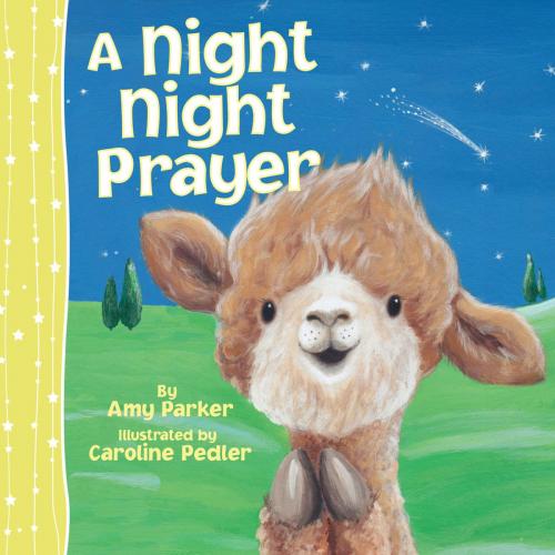 Cover of the book A Night Night Prayer by Amy Parker, Thomas Nelson