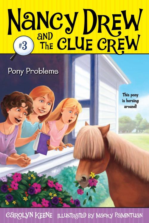 Cover of the book Pony Problems by Carolyn Keene, Aladdin