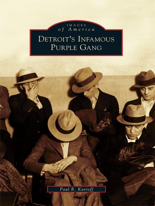 Cover of the book Detroit's Infamous Purple Gang by Paul R. Kavieff, Arcadia Publishing Inc.