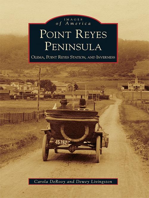 Cover of the book Point Reyes Peninsula by Carola DeRooy, Dewey Livingston, Arcadia Publishing Inc.