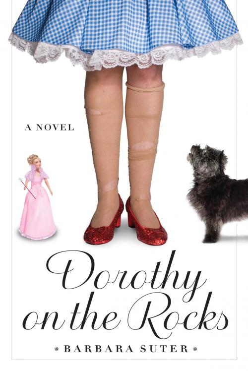 Cover of the book Dorothy on the Rocks by Barbara Suter, Algonquin Books