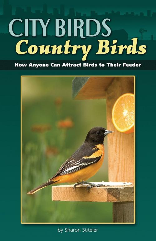 Cover of the book City Birds, Country Birds by Sharon Stiteler, Adventure Publications