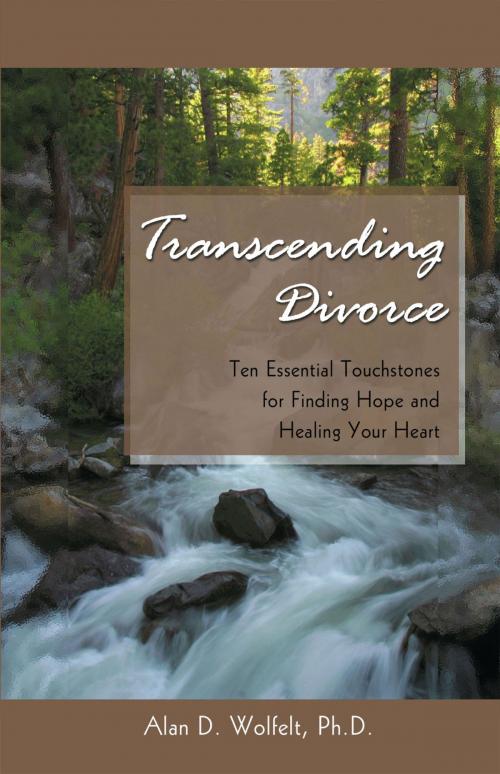Cover of the book Transcending Divorce by Alan D. Wolfelt, PhD, Companion Press
