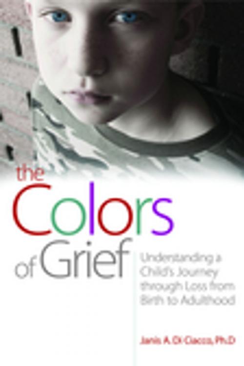 Cover of the book The Colors of Grief by Janis Di Di Ciacco, Jessica Kingsley Publishers