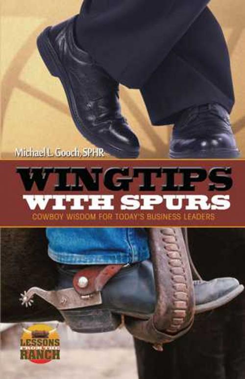 Cover of the book Wingtips with Spurs by Michael L. Gooch, Multi-Media Publications Inc.