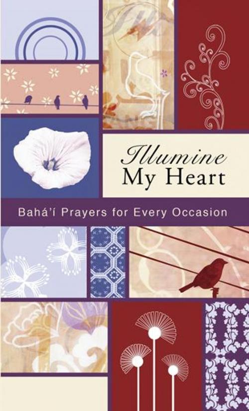 Cover of the book Illumine My Heart: Bahai Prayers for Every Occasion by Baha'u'llah, Abbas  Effendi (Abdul-Baha), the Bab, Bahai Publishing
