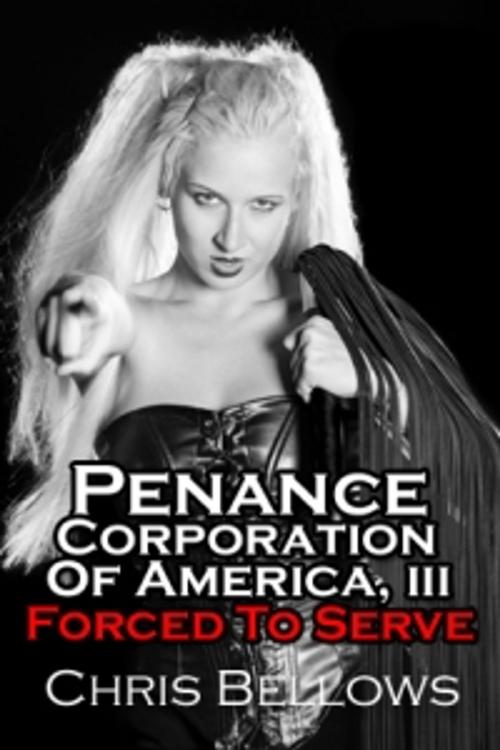 Cover of the book Penance Corporation of America III by Chris Bellows, Pink Flamingo Media