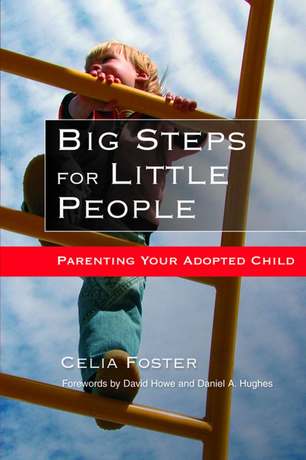 Big bigCover of Big Steps for Little People