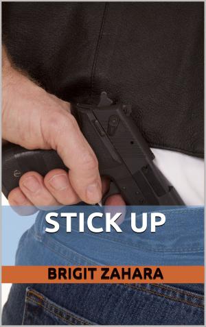 Cover of the book Stick Up by Emily Snow