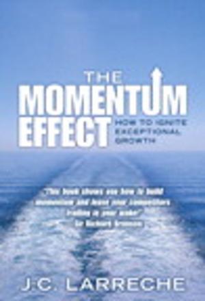 Cover of the book The Momentum Effect by Christian Johansen