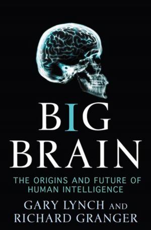 Cover of the book Big Brain by Nicholas Kaufmann
