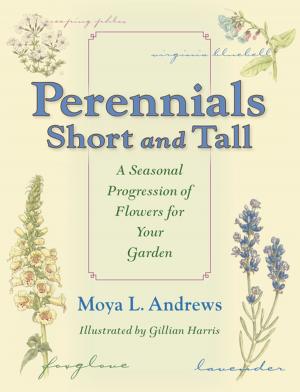 Cover of the book Perennials Short and Tall by Jennifer J. Yanco