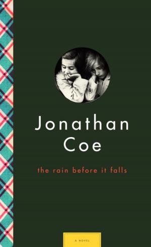 Book cover of The Rain Before It Falls