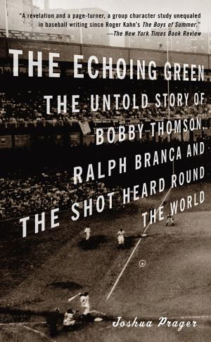 Cover of the book The Echoing Green by Sebastian Faulks