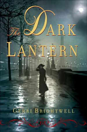 Cover of the book The Dark Lantern by Adria Townsend