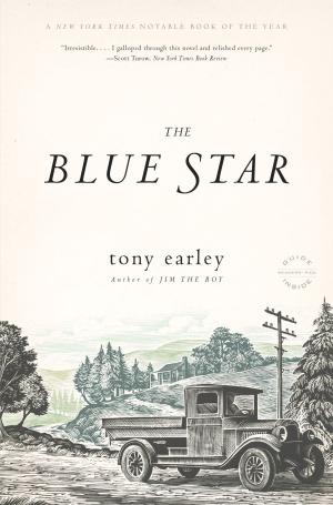 Cover of the book The Blue Star by David Foster Wallace