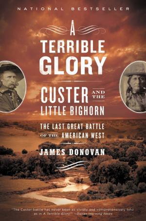 bigCover of the book A Terrible Glory by 