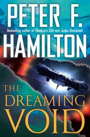 Cover of the book The Dreaming Void by Stephen Hunter