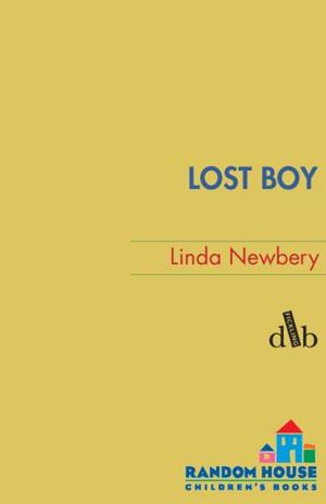 Cover of the book Lost Boy by Liz Garton Scanlon