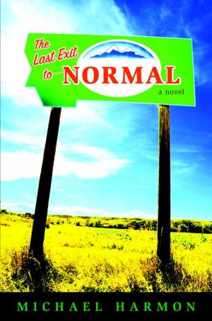 Cover of the book The Last Exit to Normal by Lenore Look