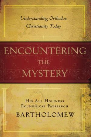 Cover of the book Encountering the Mystery by Linda Kaplan Thaler, Robin Koval