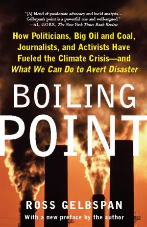 Cover of the book Boiling Point by Douglas R. Hofstadter