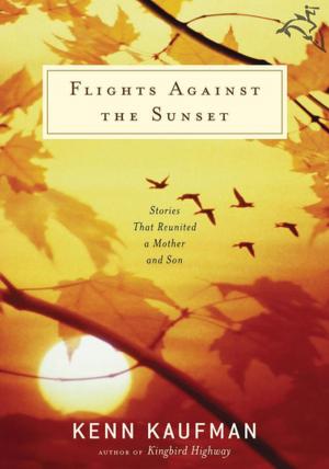 Cover of the book Flights Against the Sunset by Leon Lederman, Dick Teresi