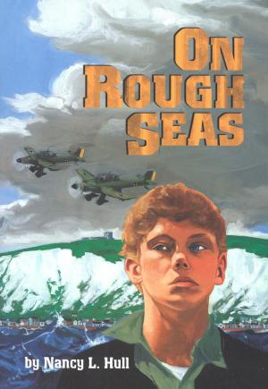 Cover of the book On Rough Seas by Eileen Christelow