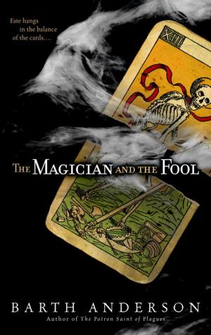 Cover of the book The Magician and the Fool by Gary Wolf, Joey Anuff