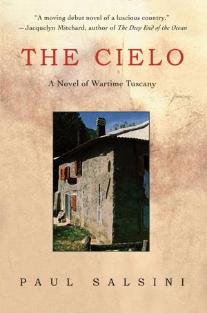 Cover of the book The Cielo by John Zerr