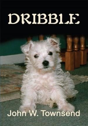 Cover of the book Dribble by Akmed Khalifa