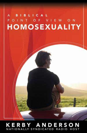 Cover of the book A Biblical Point of View on Homosexuality by BJ Hoff