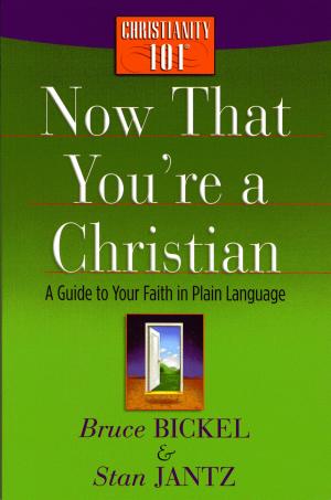 Cover of the book Now That You're a Christian by Stormie Omartian