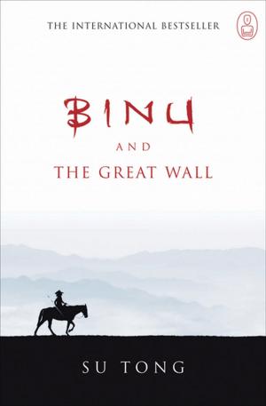 Book cover of Binu and the Great Wall