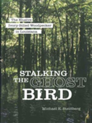 Cover of the book Stalking the Ghost Bird by Sally Van Doren