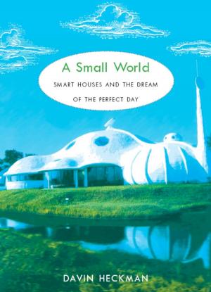 Book cover of A Small World