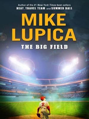 Cover of The Big Field