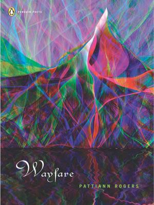 Cover of the book Wayfare by S.E. Levac