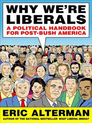 Cover of the book Why We're Liberals by Shari Lieberman, Nancy Pauling Bruning