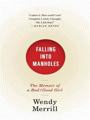 Cover of the book Falling Into Manholes by Sarah Weidman