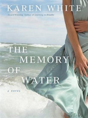 Book cover of The Memory of Water