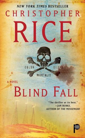 Cover of the book Blind Fall by Andrew Pyper