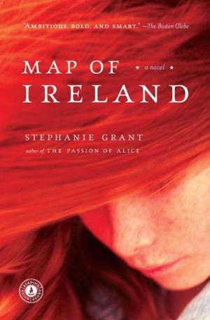 Cover of the book Map of Ireland by Elisabeth Kübler-Ross, David Kessler