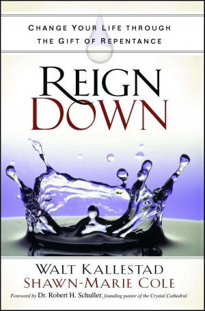 bigCover of the book Reign Down by 